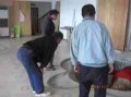 Thumbs/tn_2434.jpg